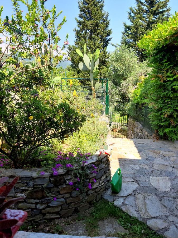 Villa L'Antico Frantoio Rapallo Exterior foto